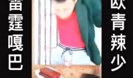 鬼畜视频爆料,揭秘网络红人背后的秘密